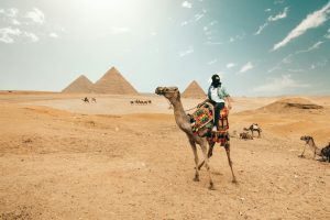 Explore the Egyptian desert with a camel ride by the iconic pyramids under a sunny sky.