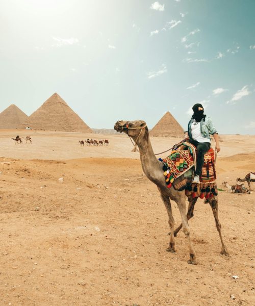 Explore the Egyptian desert with a camel ride by the iconic pyramids under a sunny sky.